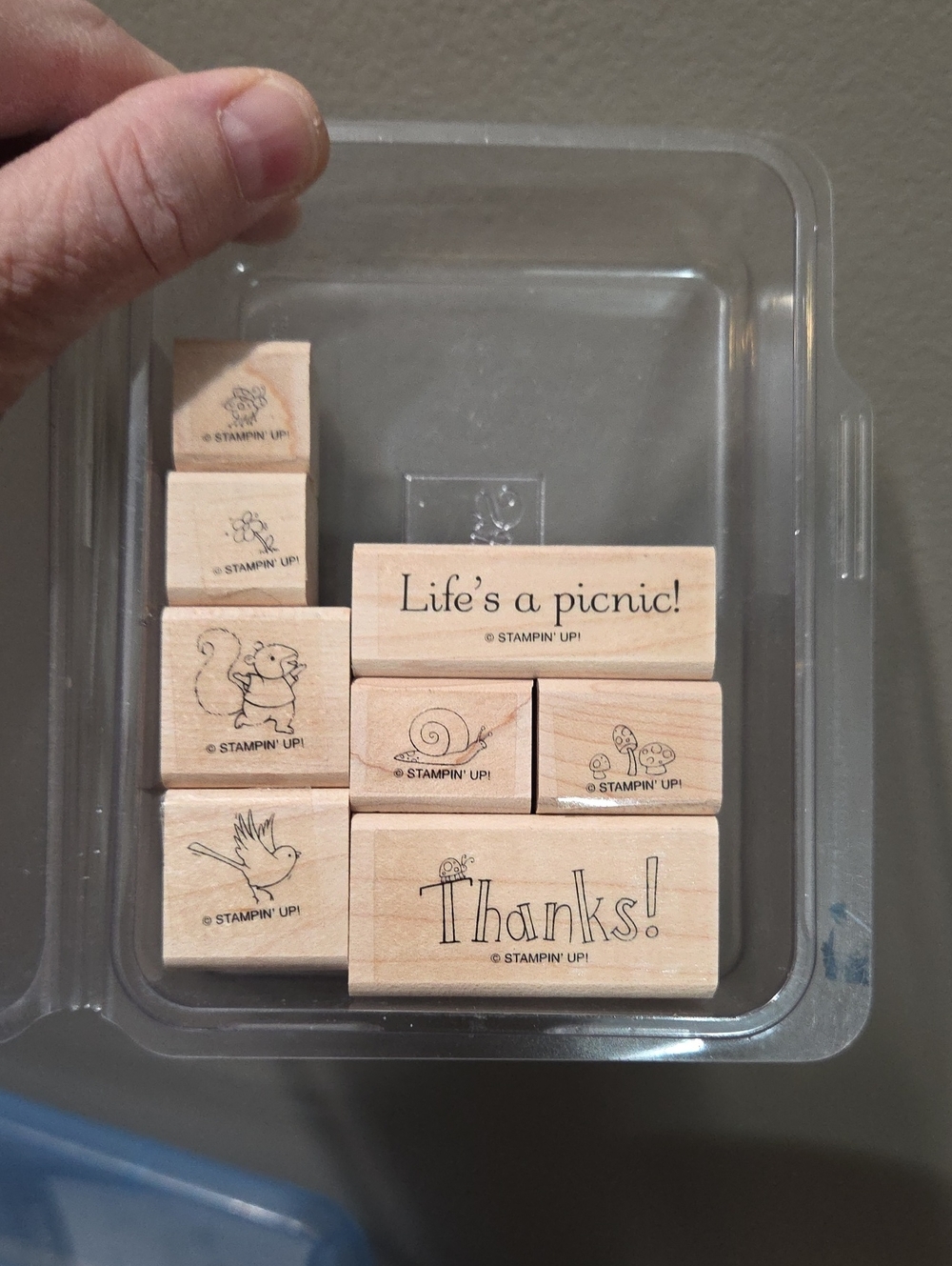 Life's a Picnic  mini set